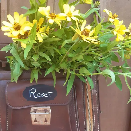 Reset Perche No Alojamento de Acomodação e Pequeno-almoço Grantola