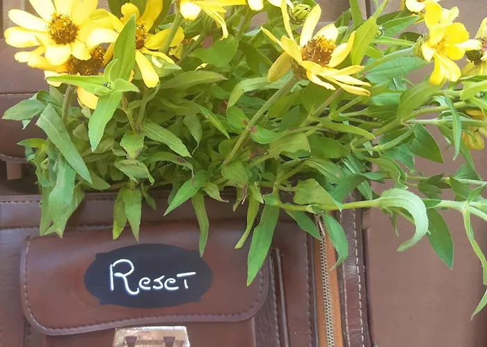 Reset Perche No Frühstückspension Grantola